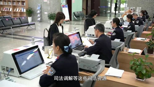 代表委员谈法治 完善公共法律服务 以教育咨询助推法治社会建设