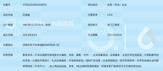 济南睿途教育咨询 专业引领，成就卓越未来